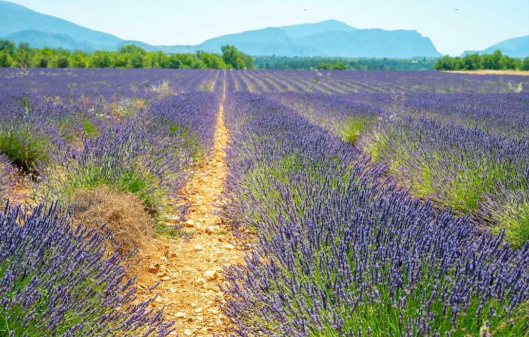 Fuvolea: Provençal Retreat with Heated Pool near Aix-en-Provence Villa Fuveau Exterior photo